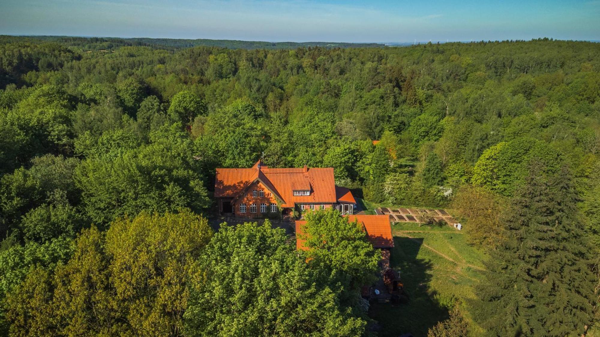 Dom Goscinny Stara Szkola Высока-Весь Экстерьер фото